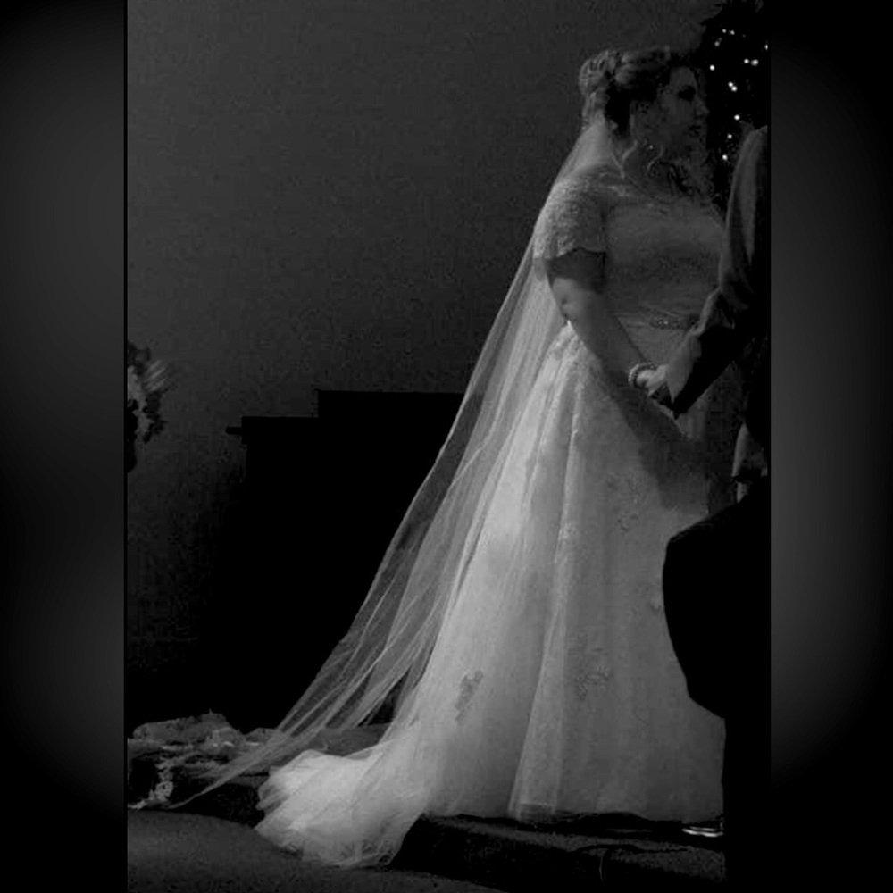 The dress was bought from David's bridal for 1000+. Asking $400 obo!!!